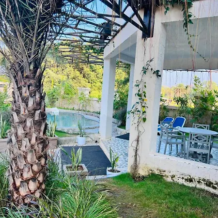 Nest Villa-2